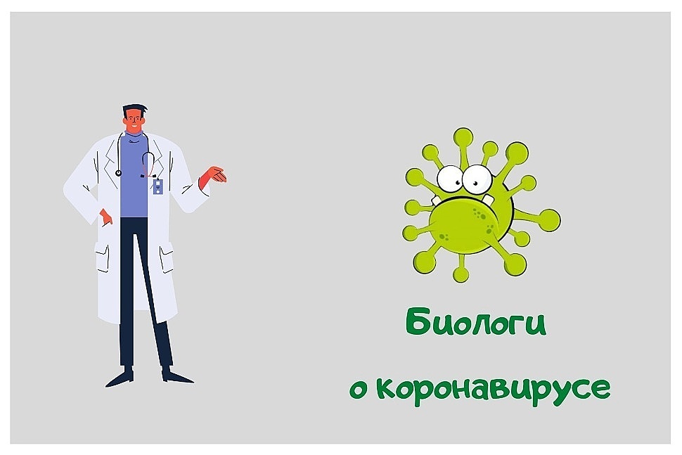 Биологи о коронавирусе