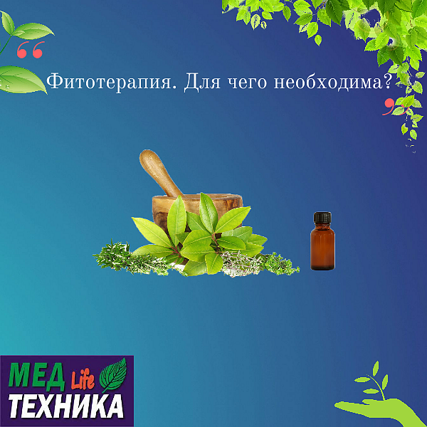 Фитотерапия. Для чего необходима?