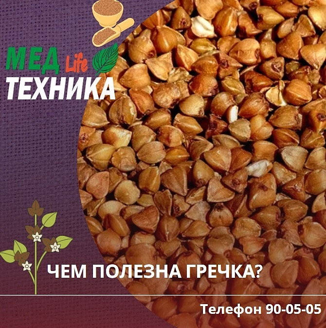 Чем полезна гречка?