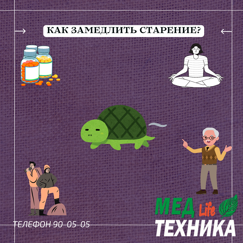 ​    Как замедлить старение?