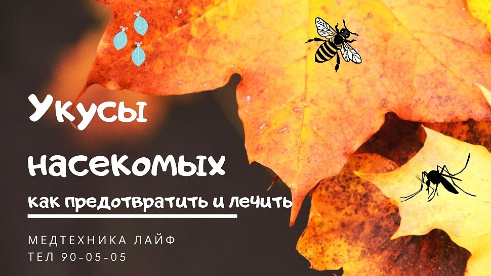 Укусы насекомых, как предотвратить и лечить