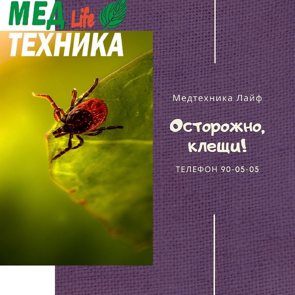 Осторожно, клещи!