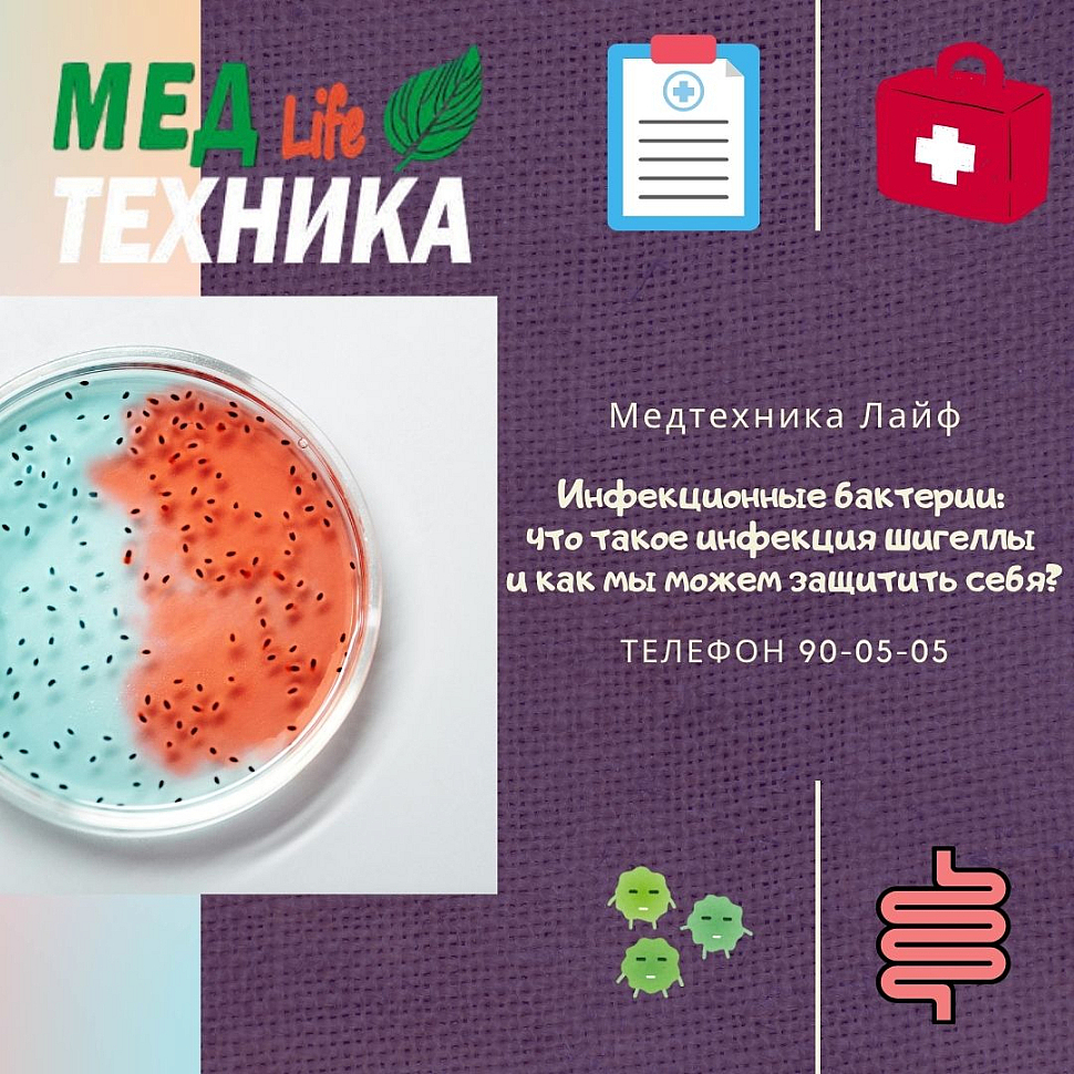 Инфекционные бактерии: что такое инфекция шигеллы и как мы можем защитить себя?